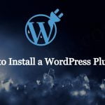How to Install a WordPress Plugin?